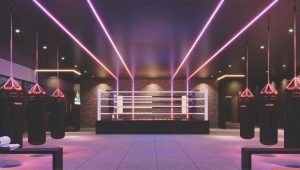 Pavilion Mont' Kiara boxing ring