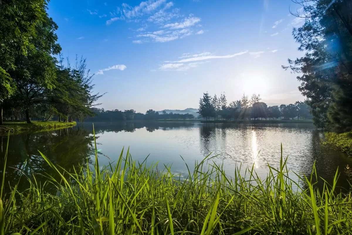 diamond-city-facilities-2